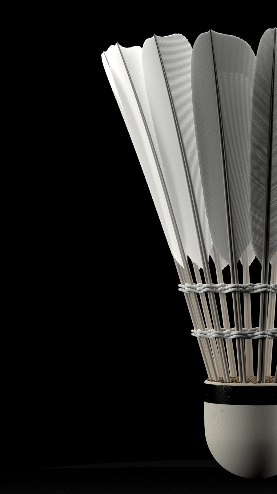 他就展示出 他就展示出