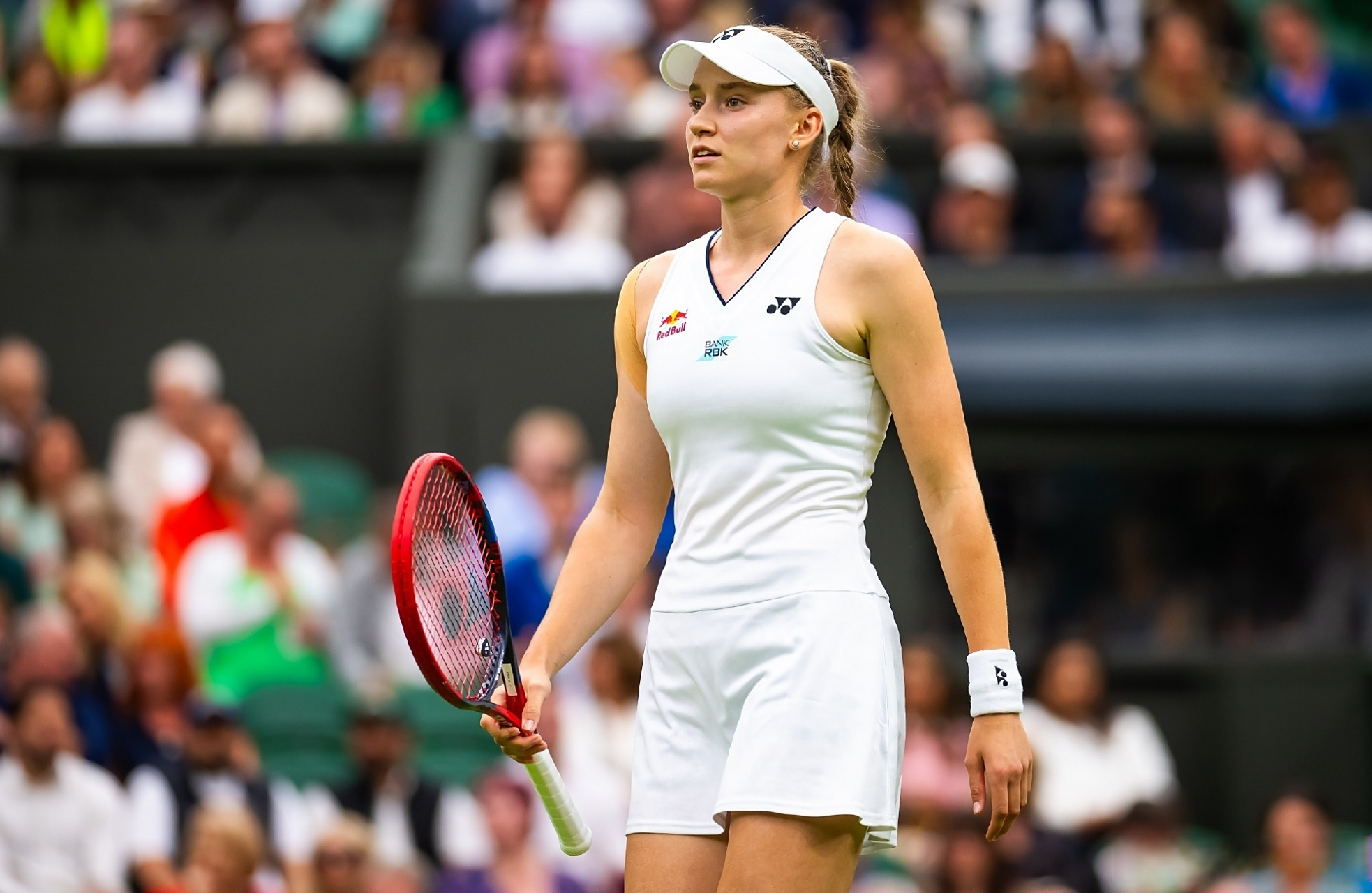 了然地了解 了然地了解