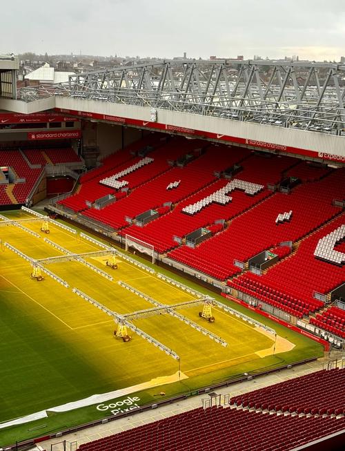 年龄曲线友 年龄曲线友